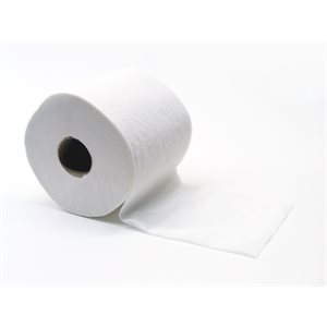 TISSUE,TOILET PAPER 2 PLY CASE EVERSOFT (CS96 ROLL)