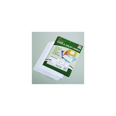 LABELS, 2 X 4 RECYCLED WHITE 250 / PK