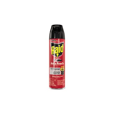 INSECTICIDE, RAID, ANT & ROACH, 17.5 OZ AEROSOL, OUTDOOR FRESH