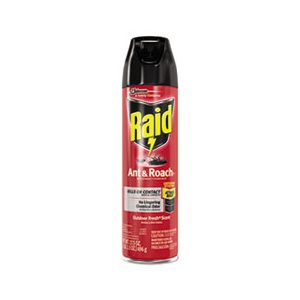 INSECTICIDE, RAID, ANT & ROACH, 17.5 OZ AEROSOL, OUTDOOR FRESH