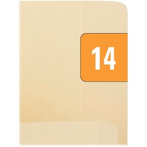 LABEL, END TAB FOLDER 1 / 2 X 1 ORANGE / WHITE 2014 PK / 250